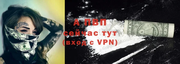 индика Куйбышев