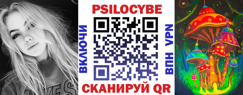 дарнет шоп  Иноземцево  Галлюциногенные грибы Cubensis 